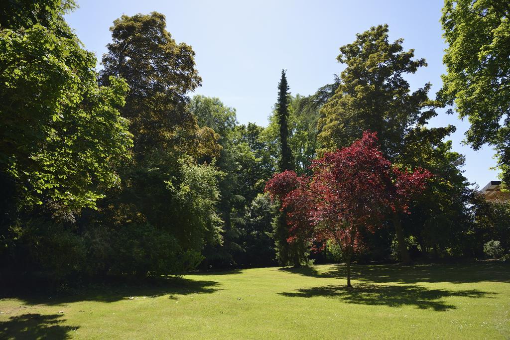 Le Chateau D'Hermonville B&B / Chambres D'Hotes Dış mekan fotoğraf