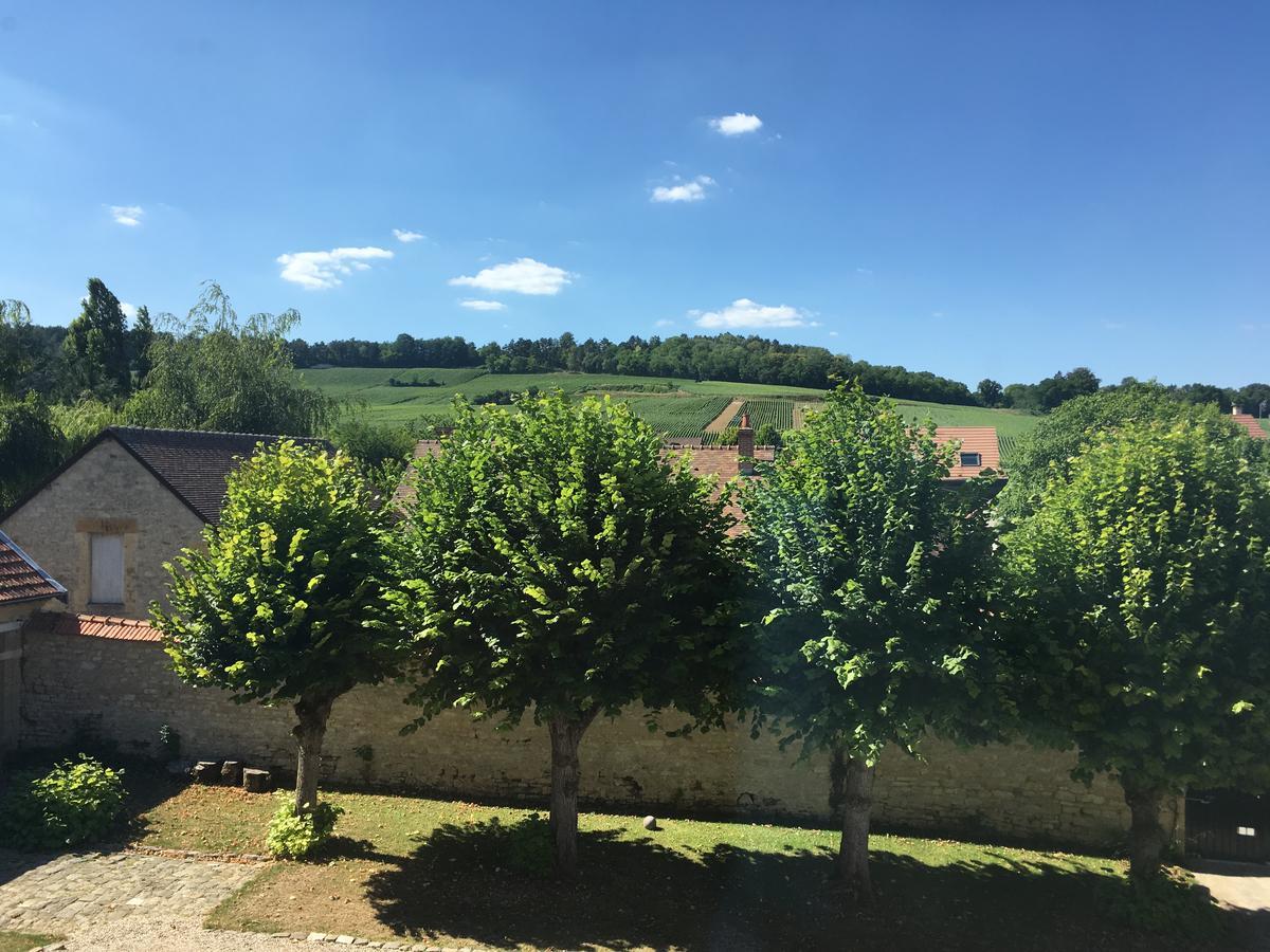 Le Chateau D'Hermonville B&B / Chambres D'Hotes Dış mekan fotoğraf